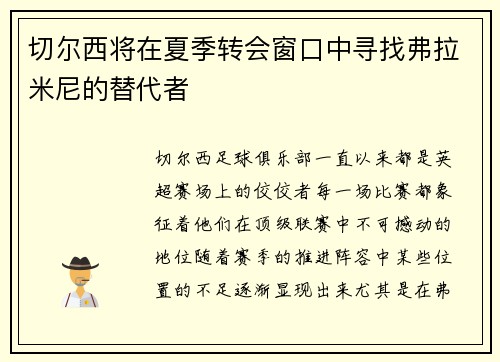 切尔西将在夏季转会窗口中寻找弗拉米尼的替代者