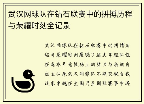 武汉网球队在钻石联赛中的拼搏历程与荣耀时刻全记录